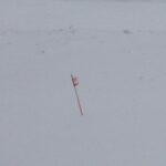 driveway markers buried in snow after nemo