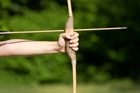 archery sticks