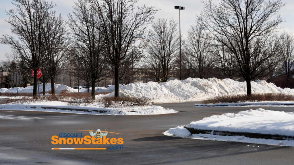 Parking Lot with Snow Stakes