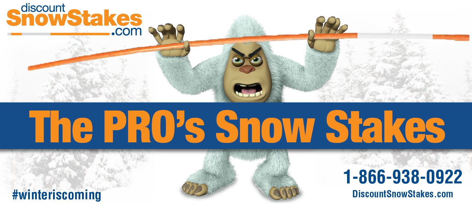 DSS Snow Man Banner